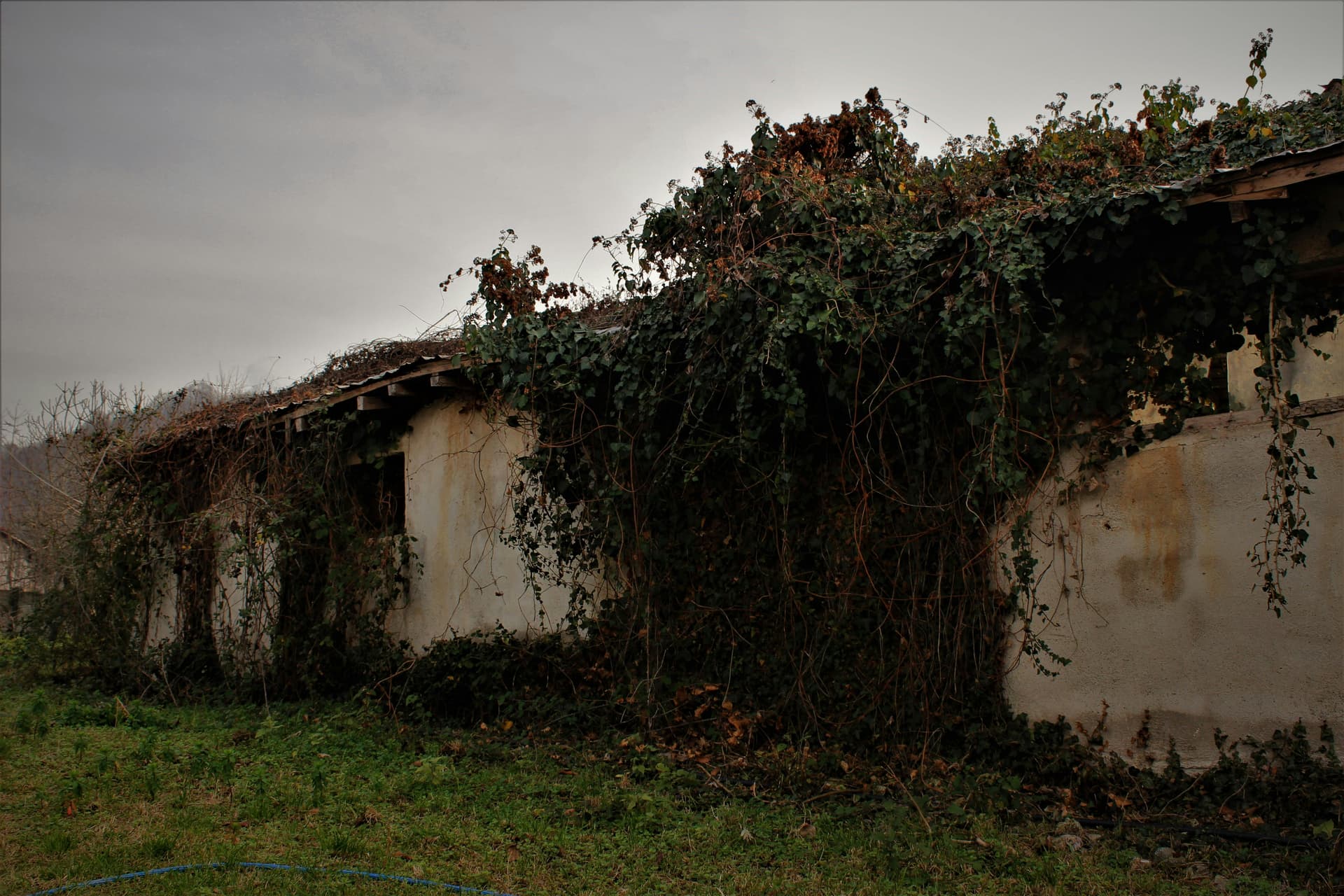 Full Mouth Rehabilitation